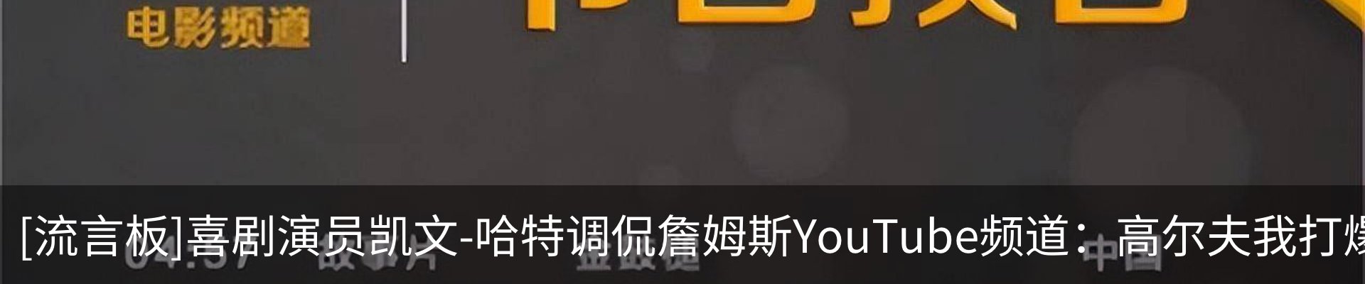 新闻动态